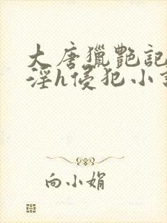 大唐猎艳记之乱淫h侵犯小说