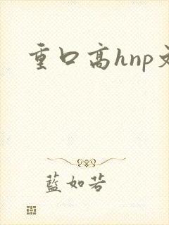 重口高hnp文封面