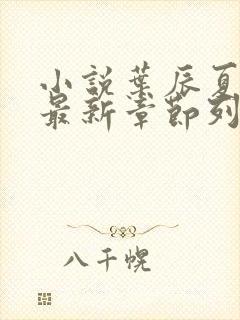 小说叶辰夏若雪最新章节列表最