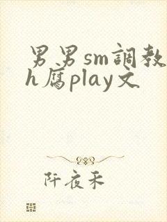 男男sm调教高h腐play文