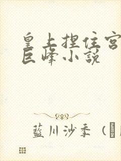 皇上捏住宫女的巨峰小说