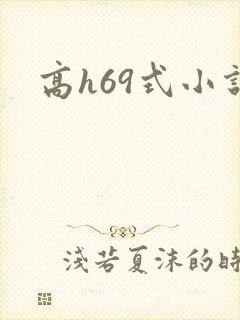 高h69式小说封面