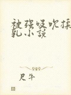 被强吸吮揉捏双乳小说封面