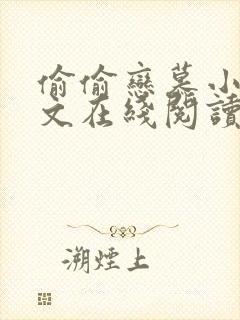 偷偷恋慕小说全文在线阅读封面