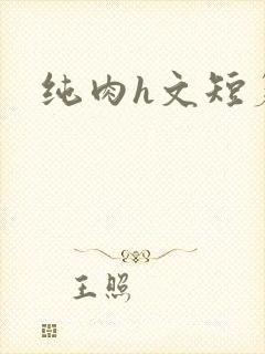 纯肉h文短篇