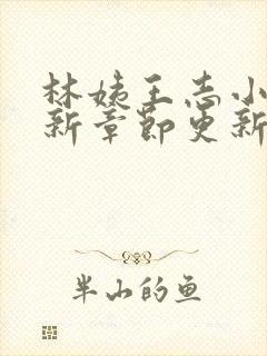 林姨王志小说最新章节更新免费阅读封面