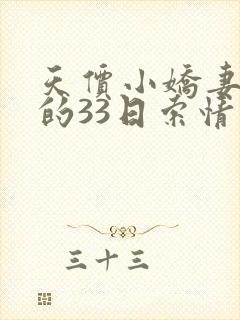 天价小娇妻总裁的33日索情完整版封面