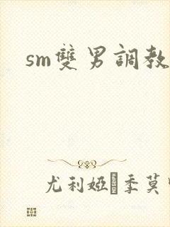 sm双男调教文
