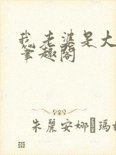 我老婆是大明星笔趣阁封面