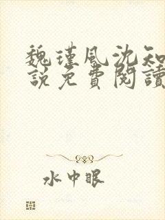 魏瑾风沈知玉小说免费阅读最新章节