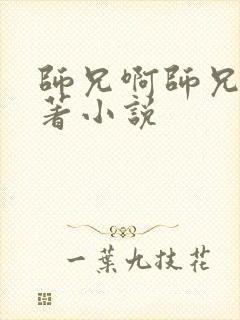 师兄啊师兄的原著小说