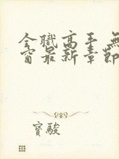 全职高手 无弹窗最新章节