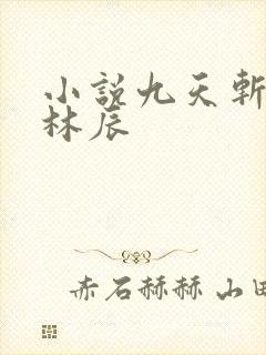 小说九天斩神诀林辰