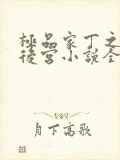 极品家丁之风流后宫小说全文阅读