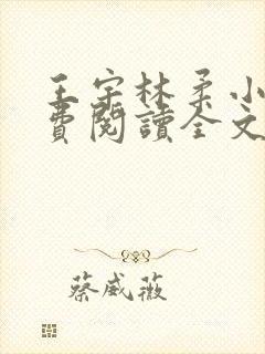 王宇林柔小说免费阅读全文最新章节