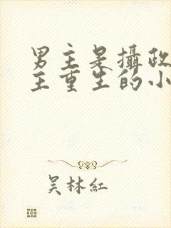 男主是摄政王女主重生的小说