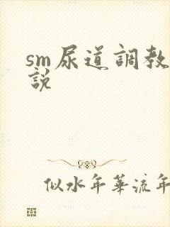 sm尿道调教小说