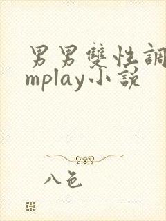 男男双性调教smplay小说