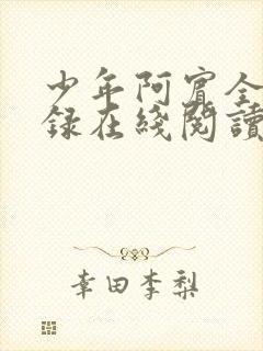 少年阿宾全文目录在线阅读封面