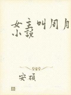 女主叫周月丫的小说封面