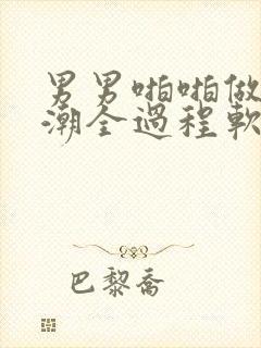 男男啪啪做爰高潮全过程软件