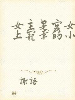 女主是宫女被皇上宠幸的小说封面