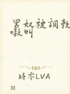 男奴被调教的嗷嗷叫