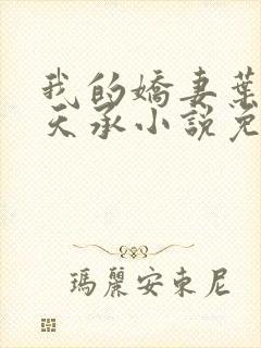 我的娇妻叶晨许天承小说免费阅读无弹窗