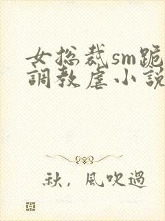 女总裁sm跪爬调教虐小说