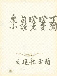 众目睽睽下的事小说免费阅读笔趣阁