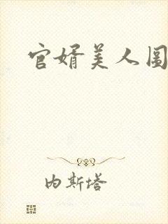 官婿美人图安江封面