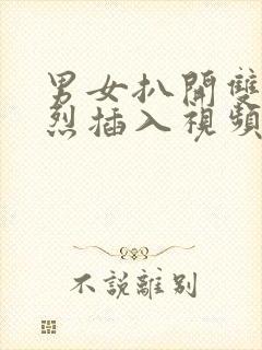 男女扒开双腿猛烈插入视频