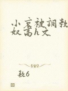 小哀被调教成肉奴高h文