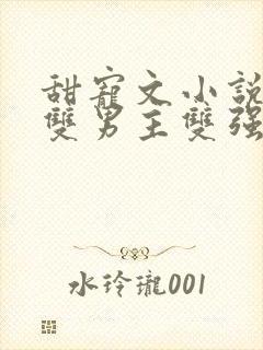 甜宠文小说推荐双男主双强