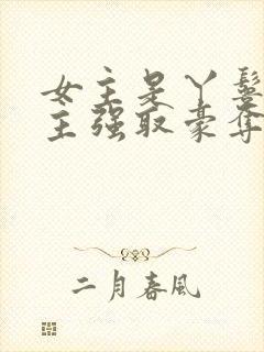 女主是丫鬟被男主强取豪夺的古言