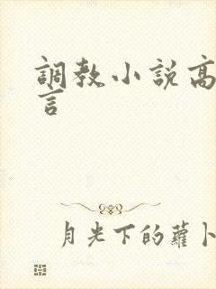 调教小说高h古言封面