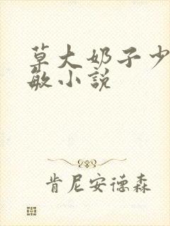 草大奶子少妇张敏小说封面