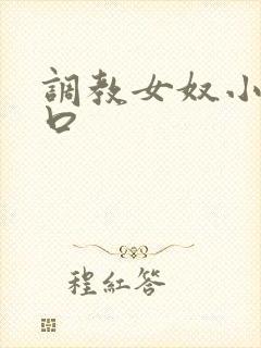 调教女奴小说重口封面