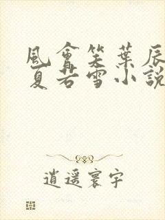 风会笑叶辰孙怡夏若雪小说