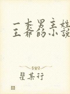 一本男主姓萧是王爷的小说