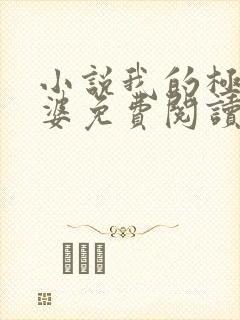 小说我的极品老婆免费阅读全文