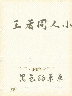 王者同人小说h封面