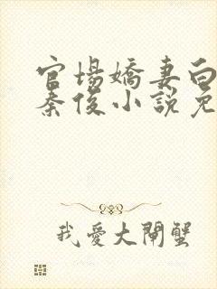 官场娇妻白芸和秦俊小说免费阅读封面