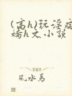 (高h)玩淫病娇h文小说