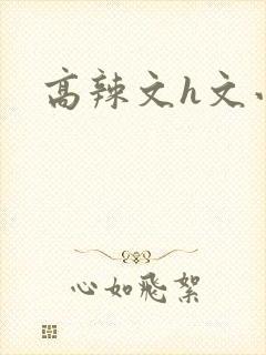 高辣文h文小说