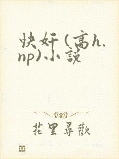 快奸 (高h.np)小说封面