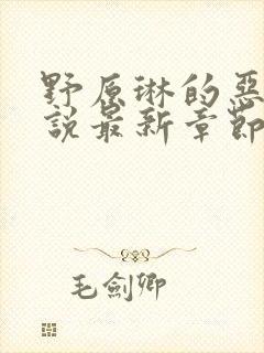 野原琳的恶堕小说最新章节更新内容