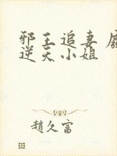 邪王追妻 废材逆天小姐