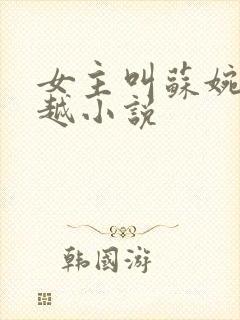 女主叫苏婉的穿越小说