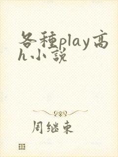 各种play高h小说
